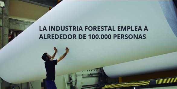 La industria forestal emplea a alrededor de 100.000 personas