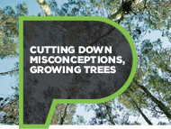 More Forests, Better Future. More Forests, Better Future.