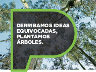 More Forests, Better Future. More Forests, Better Future.