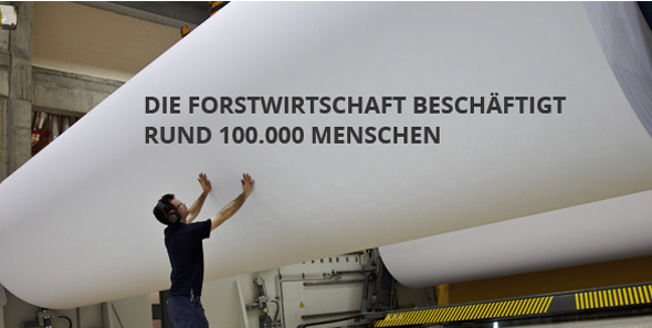 Die forstwirstschaft beschaftigt rund 100.000 menschen