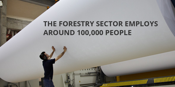 The forestry sector employs around 100.000 people