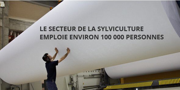 Le secteur de la sylviculture emploie environ 100 000 personnes